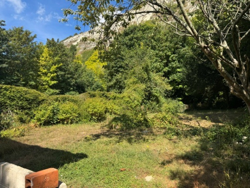 Lot: 215 - FREEHOLD DETACHED HOUSE IN ATTRACTIVE AND QUIET SETTING - The Rear Garden